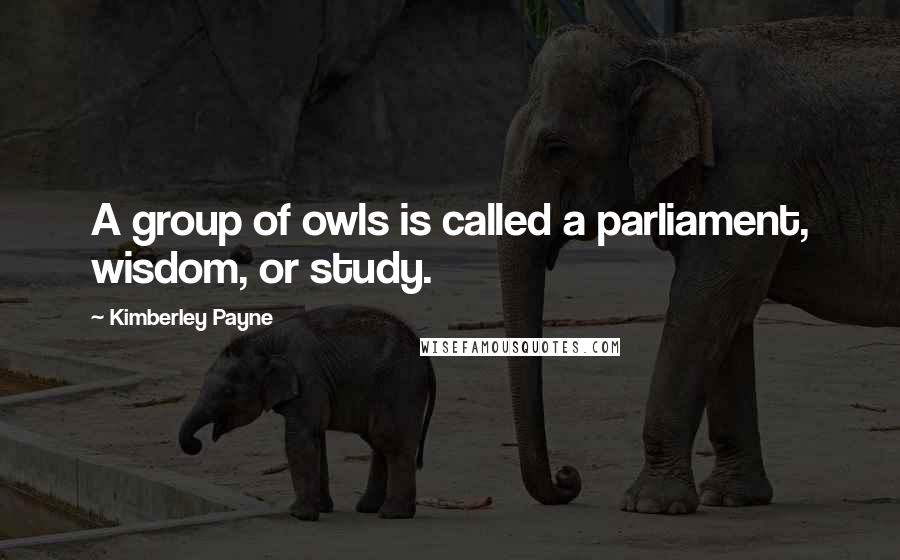 Kimberley Payne Quotes: A group of owls is called a parliament, wisdom, or study.