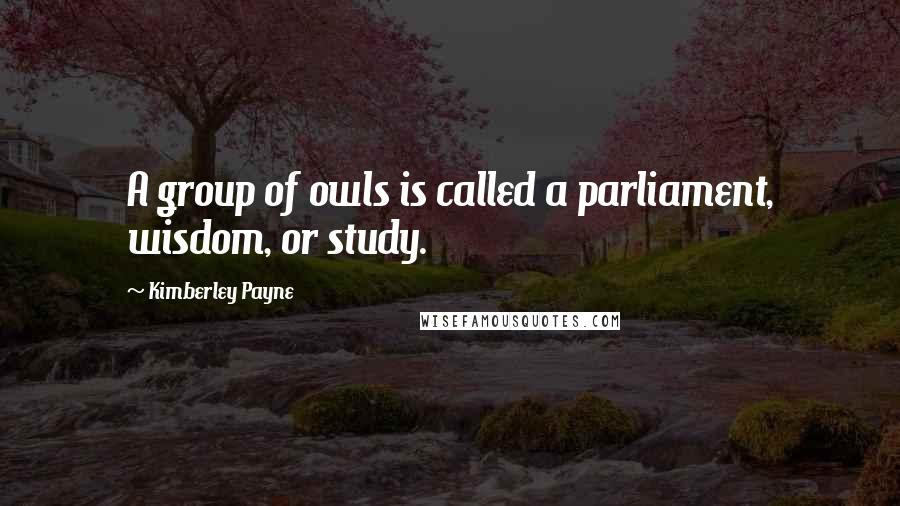 Kimberley Payne Quotes: A group of owls is called a parliament, wisdom, or study.