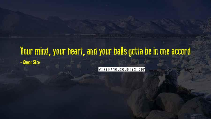 Kimbo Slice Quotes: Your mind, your heart, and your balls gotta be in one accord