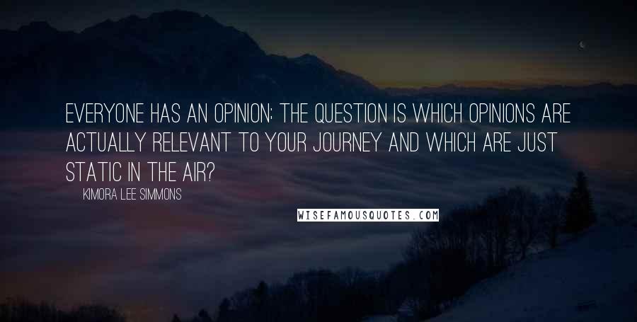 Kimora Lee Simmons Quotes: Everyone has an opinion; the question is which opinions are actually relevant to your journey and which are just static in the air?