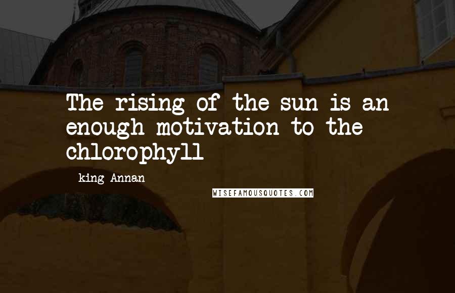 King Annan Quotes: The rising of the sun is an enough motivation to the chlorophyll