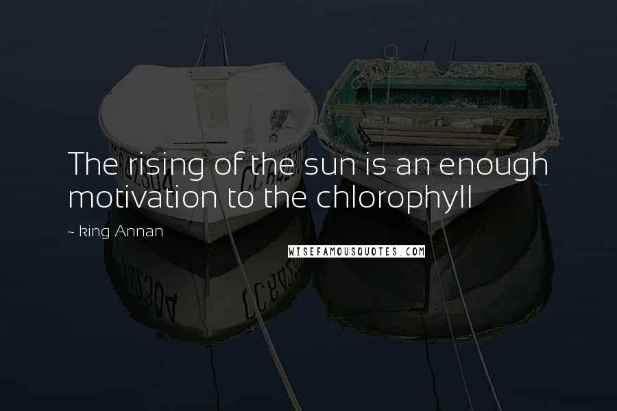 King Annan Quotes: The rising of the sun is an enough motivation to the chlorophyll