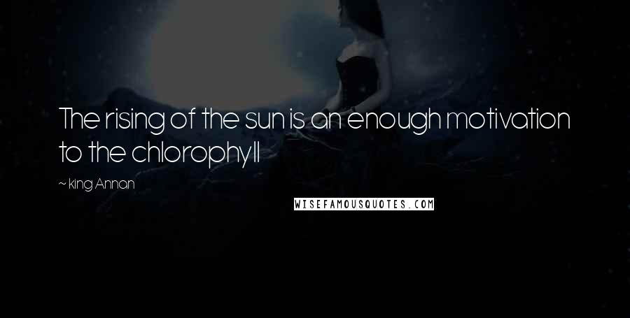 King Annan Quotes: The rising of the sun is an enough motivation to the chlorophyll