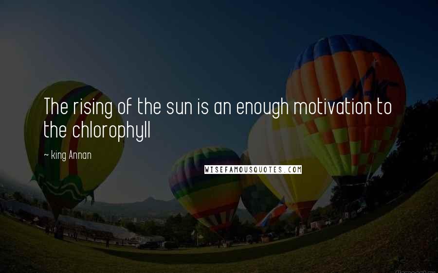 King Annan Quotes: The rising of the sun is an enough motivation to the chlorophyll