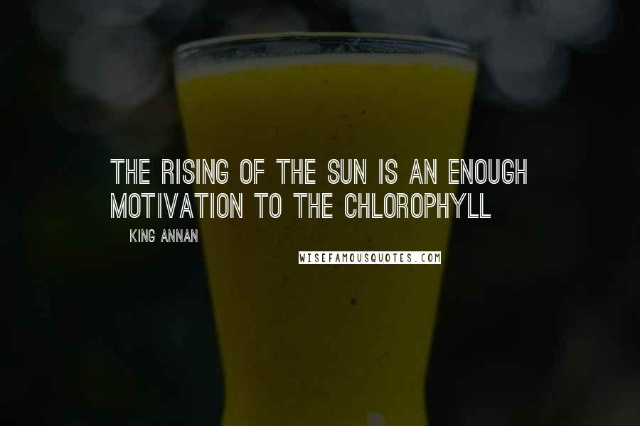 King Annan Quotes: The rising of the sun is an enough motivation to the chlorophyll