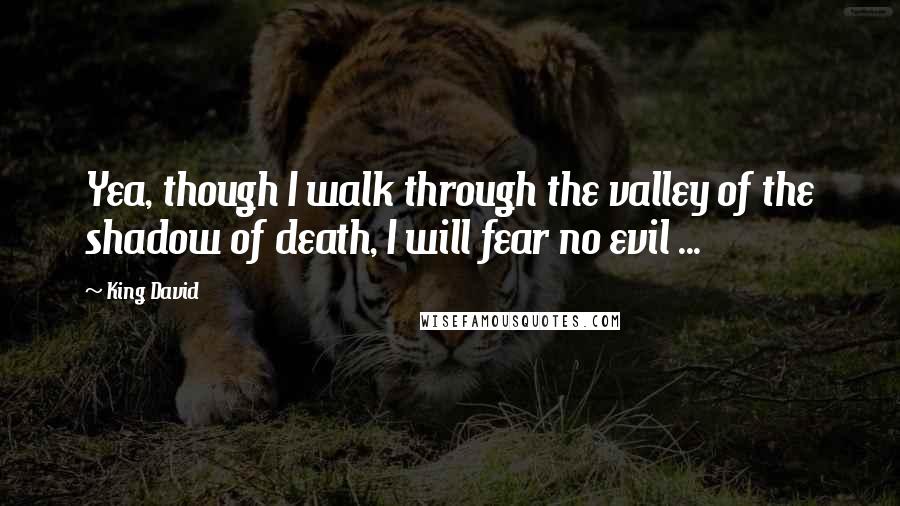 King David Quotes: Yea, though I walk through the valley of the shadow of death, I will fear no evil ...