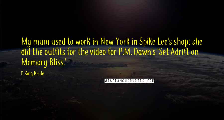 King Krule Quotes: My mum used to work in New York in Spike Lee's shop; she did the outfits for the video for P.M. Dawn's 'Set Adrift on Memory Bliss.'