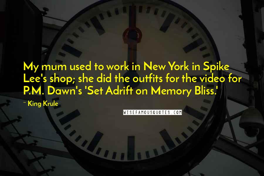 King Krule Quotes: My mum used to work in New York in Spike Lee's shop; she did the outfits for the video for P.M. Dawn's 'Set Adrift on Memory Bliss.'