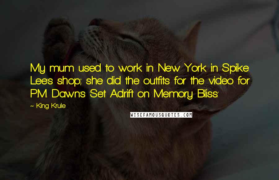 King Krule Quotes: My mum used to work in New York in Spike Lee's shop; she did the outfits for the video for P.M. Dawn's 'Set Adrift on Memory Bliss.'
