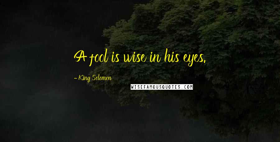 King Solomon Quotes: A fool is wise in his eyes.