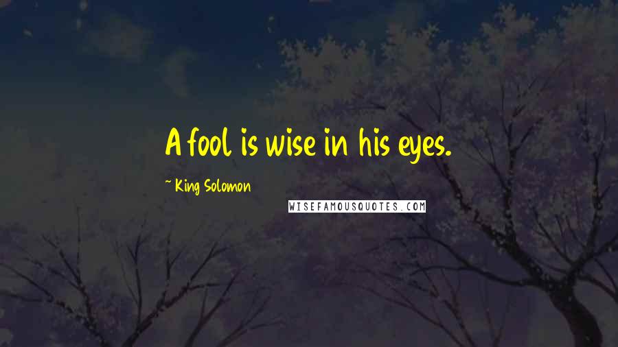 King Solomon Quotes: A fool is wise in his eyes.