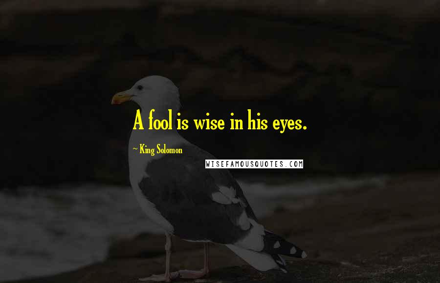 King Solomon Quotes: A fool is wise in his eyes.