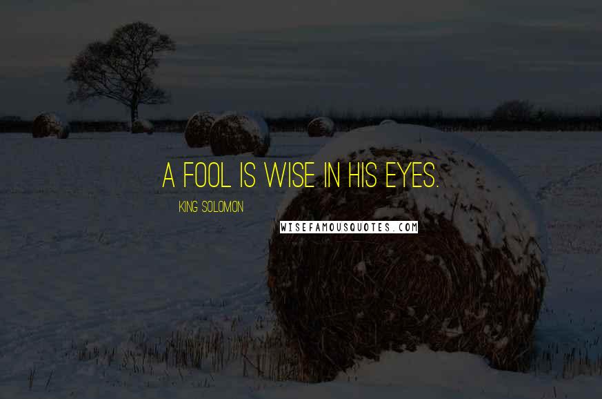 King Solomon Quotes: A fool is wise in his eyes.