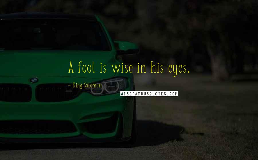 King Solomon Quotes: A fool is wise in his eyes.