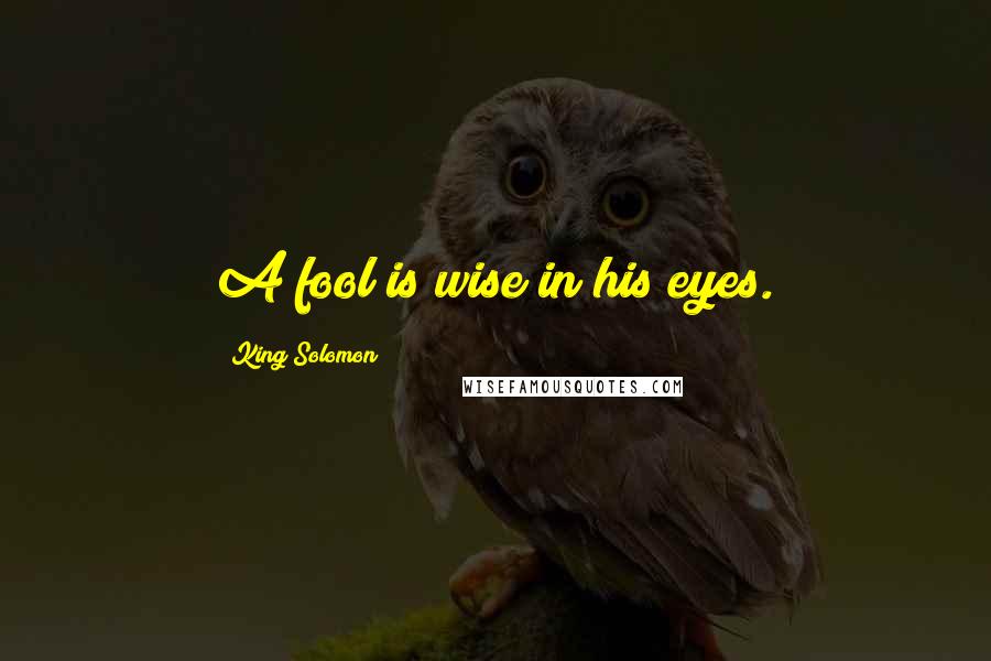King Solomon Quotes: A fool is wise in his eyes.