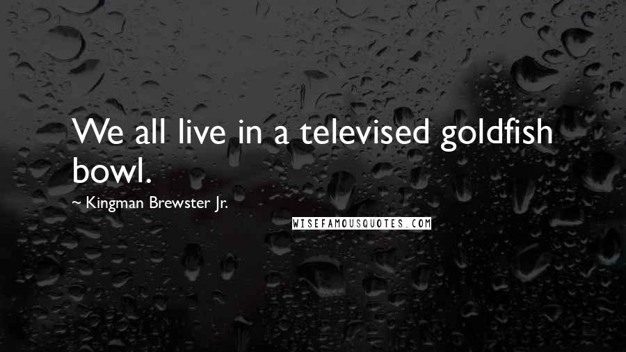Kingman Brewster Jr. Quotes: We all live in a televised goldfish bowl.