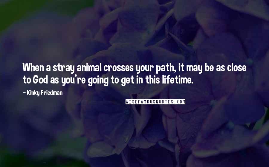 Kinky Friedman Quotes: When a stray animal crosses your path, it may be as close to God as you're going to get in this lifetime.