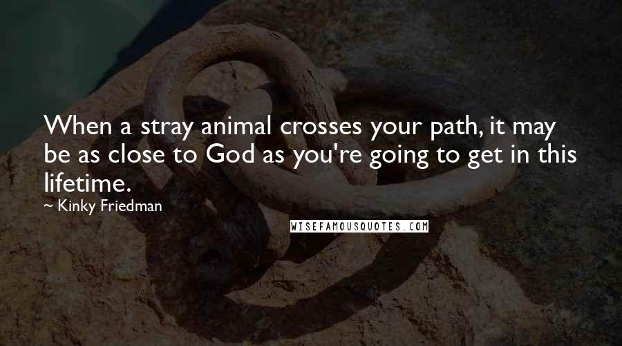 Kinky Friedman Quotes: When a stray animal crosses your path, it may be as close to God as you're going to get in this lifetime.