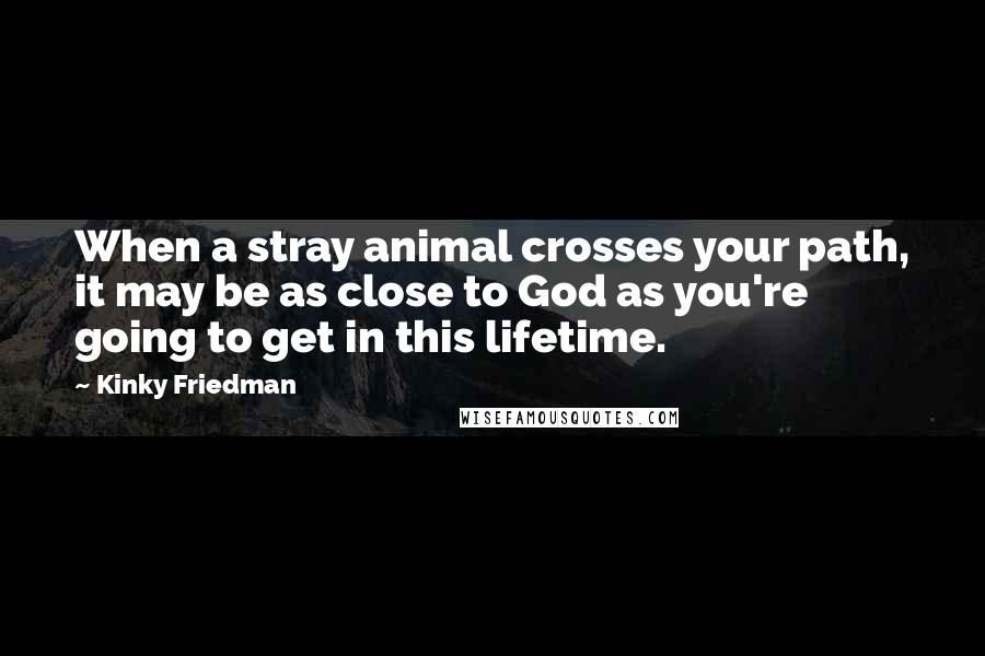Kinky Friedman Quotes: When a stray animal crosses your path, it may be as close to God as you're going to get in this lifetime.