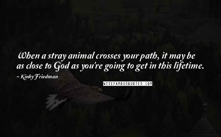 Kinky Friedman Quotes: When a stray animal crosses your path, it may be as close to God as you're going to get in this lifetime.