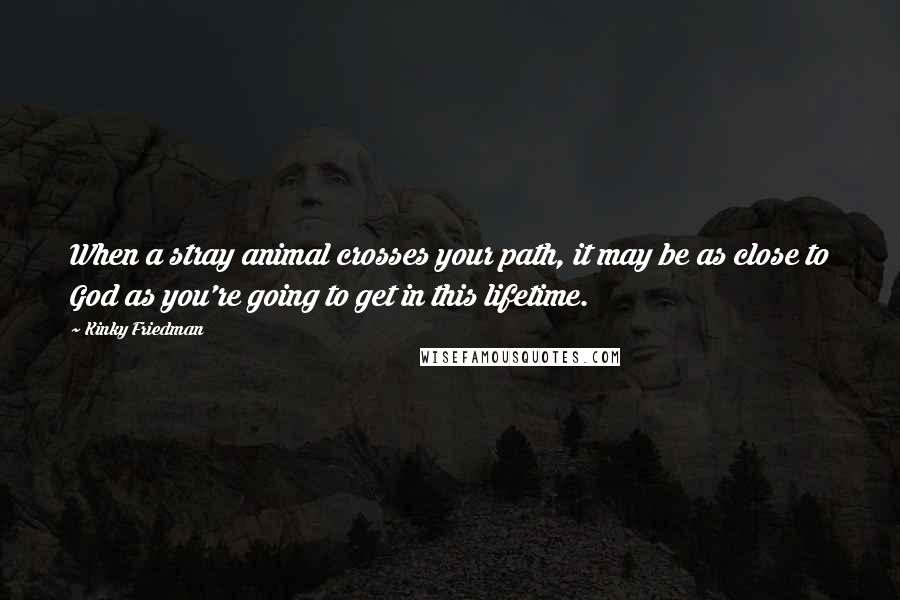 Kinky Friedman Quotes: When a stray animal crosses your path, it may be as close to God as you're going to get in this lifetime.
