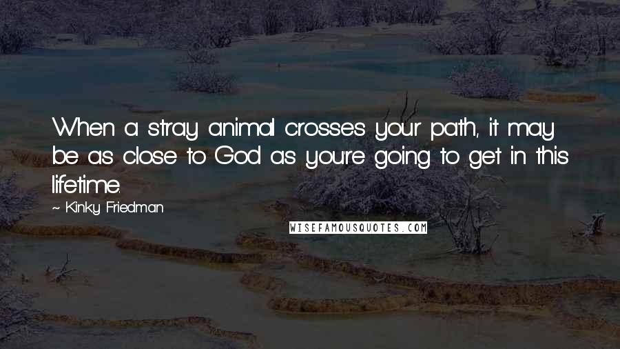 Kinky Friedman Quotes: When a stray animal crosses your path, it may be as close to God as you're going to get in this lifetime.