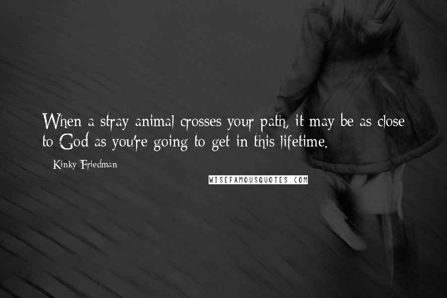 Kinky Friedman Quotes: When a stray animal crosses your path, it may be as close to God as you're going to get in this lifetime.