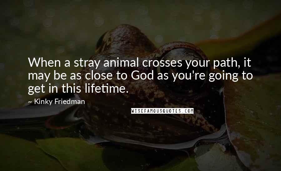 Kinky Friedman Quotes: When a stray animal crosses your path, it may be as close to God as you're going to get in this lifetime.