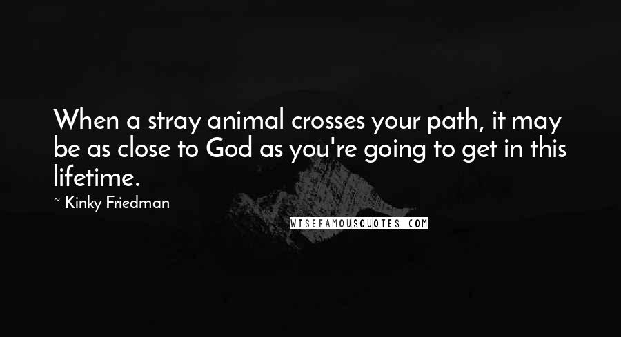 Kinky Friedman Quotes: When a stray animal crosses your path, it may be as close to God as you're going to get in this lifetime.