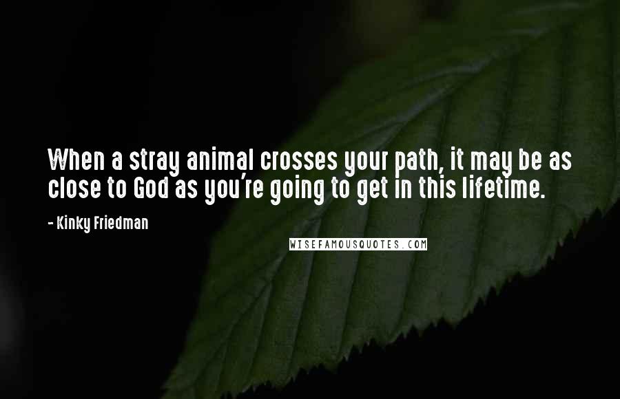 Kinky Friedman Quotes: When a stray animal crosses your path, it may be as close to God as you're going to get in this lifetime.