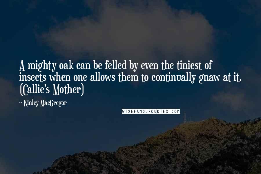 Kinley MacGregor Quotes: A mighty oak can be felled by even the tiniest of insects when one allows them to continually gnaw at it. (Callie's Mother)