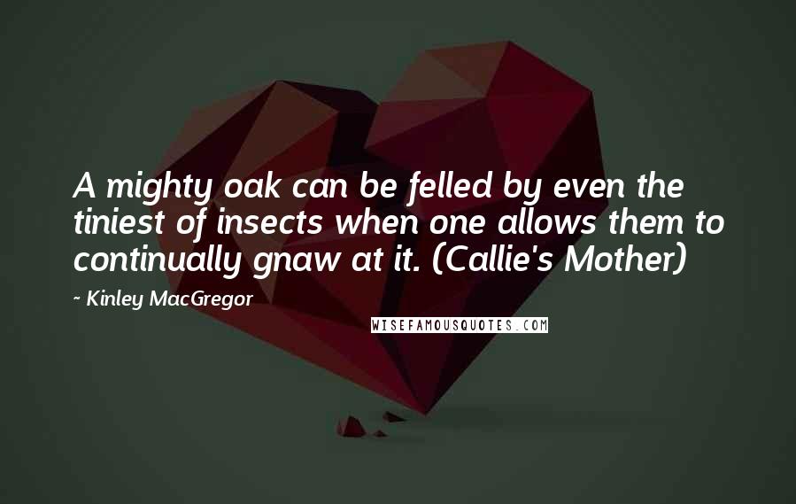 Kinley MacGregor Quotes: A mighty oak can be felled by even the tiniest of insects when one allows them to continually gnaw at it. (Callie's Mother)