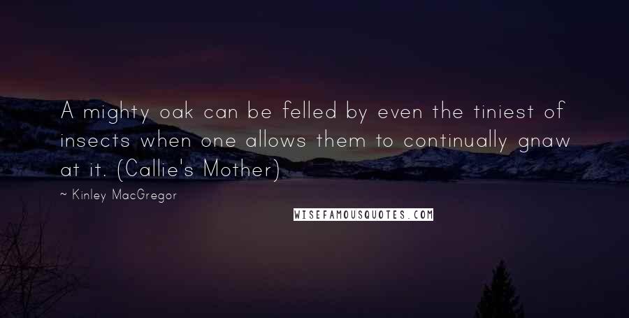 Kinley MacGregor Quotes: A mighty oak can be felled by even the tiniest of insects when one allows them to continually gnaw at it. (Callie's Mother)