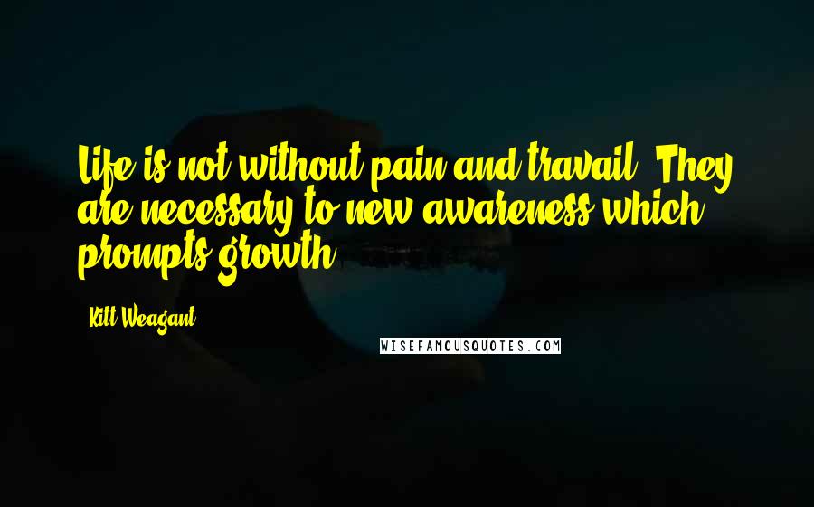 Kitt Weagant Quotes: Life is not without pain and travail. They are necessary to new awareness which prompts growth.