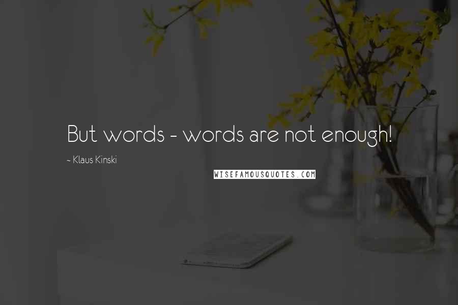 Klaus Kinski Quotes: But words - words are not enough!