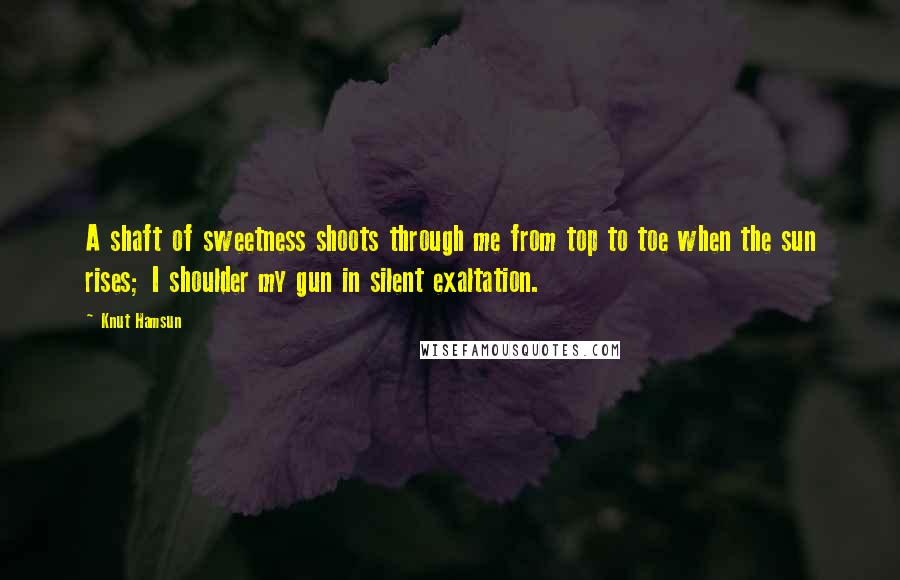 Knut Hamsun Quotes: A shaft of sweetness shoots through me from top to toe when the sun rises; I shoulder my gun in silent exaltation.