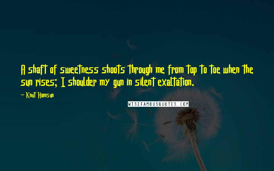 Knut Hamsun Quotes: A shaft of sweetness shoots through me from top to toe when the sun rises; I shoulder my gun in silent exaltation.