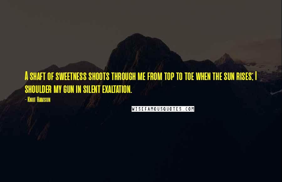 Knut Hamsun Quotes: A shaft of sweetness shoots through me from top to toe when the sun rises; I shoulder my gun in silent exaltation.