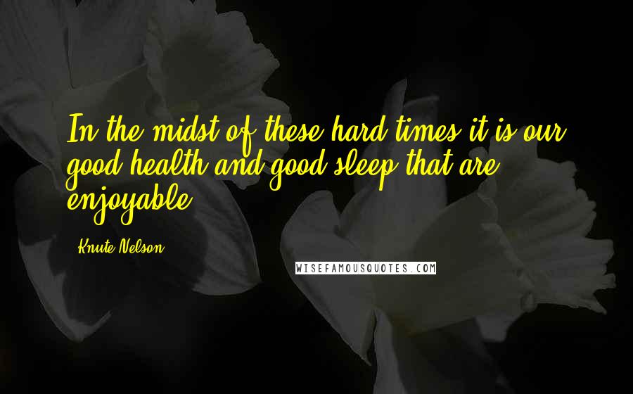 Knute Nelson Quotes: In the midst of these hard times it is our good health and good sleep that are enjoyable.