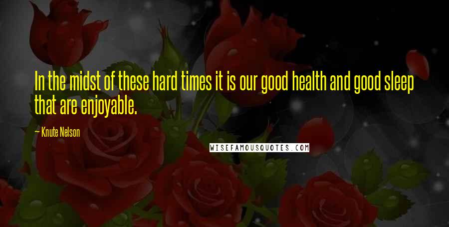 Knute Nelson Quotes: In the midst of these hard times it is our good health and good sleep that are enjoyable.