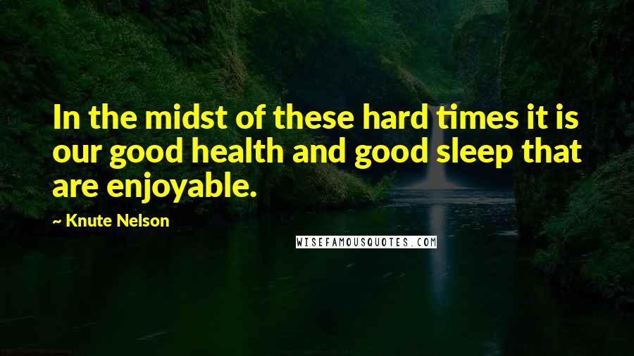 Knute Nelson Quotes: In the midst of these hard times it is our good health and good sleep that are enjoyable.