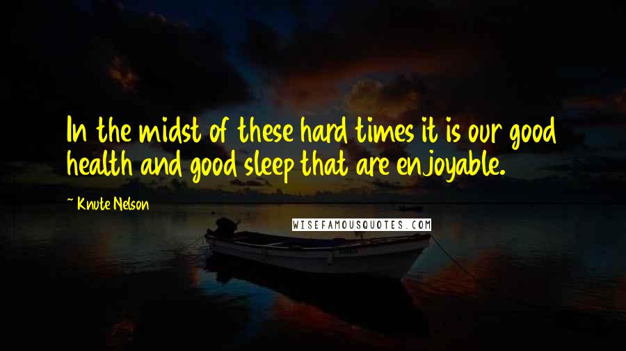 Knute Nelson Quotes: In the midst of these hard times it is our good health and good sleep that are enjoyable.