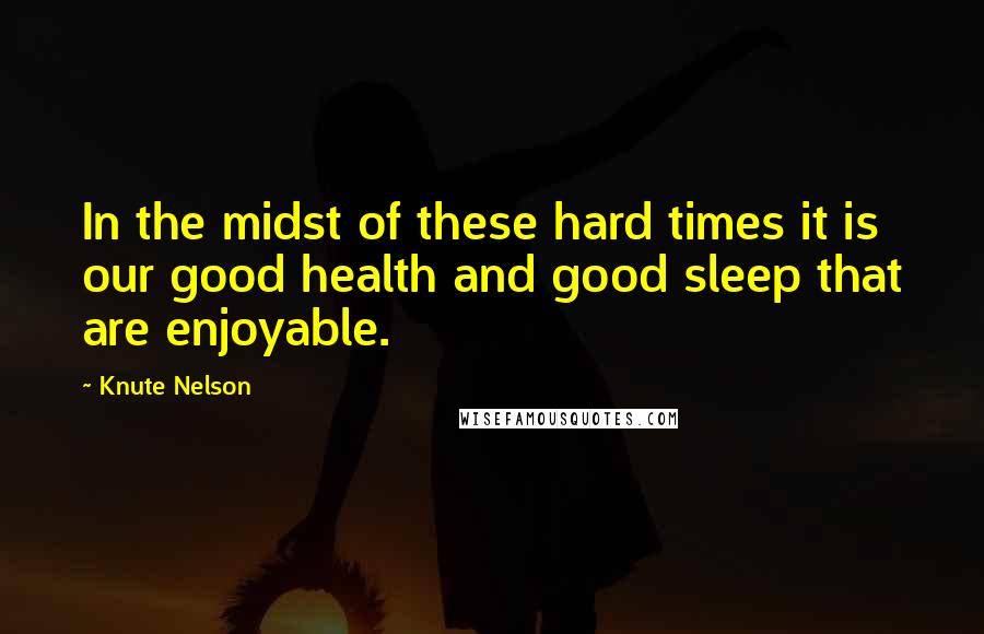 Knute Nelson Quotes: In the midst of these hard times it is our good health and good sleep that are enjoyable.