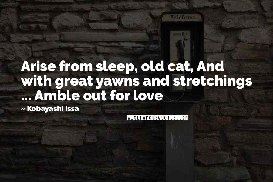 Kobayashi Issa Quotes: Arise from sleep, old cat, And with great yawns and stretchings ... Amble out for love