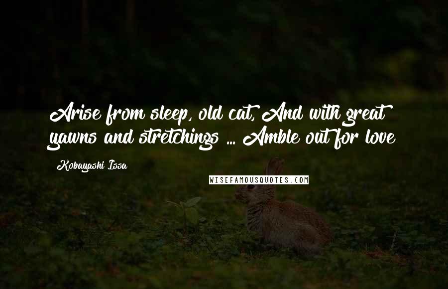 Kobayashi Issa Quotes: Arise from sleep, old cat, And with great yawns and stretchings ... Amble out for love