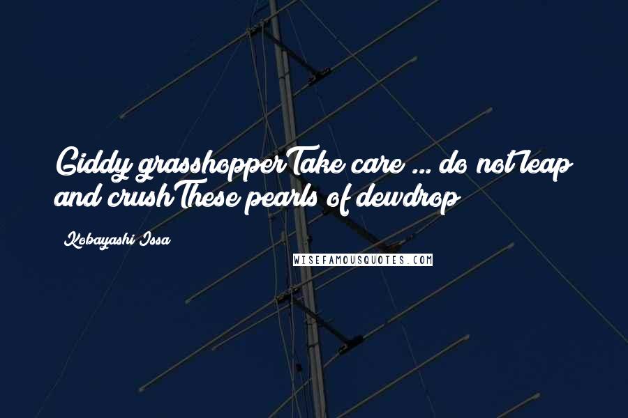 Kobayashi Issa Quotes: Giddy grasshopperTake care ... do not leap and crushThese pearls of dewdrop