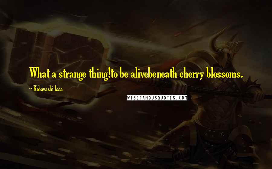 Kobayashi Issa Quotes: What a strange thing!to be alivebeneath cherry blossoms.