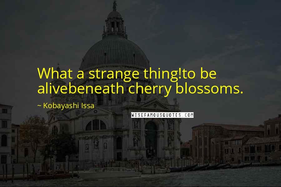 Kobayashi Issa Quotes: What a strange thing!to be alivebeneath cherry blossoms.
