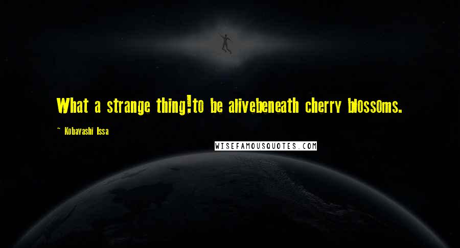 Kobayashi Issa Quotes: What a strange thing!to be alivebeneath cherry blossoms.