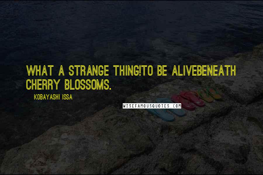 Kobayashi Issa Quotes: What a strange thing!to be alivebeneath cherry blossoms.